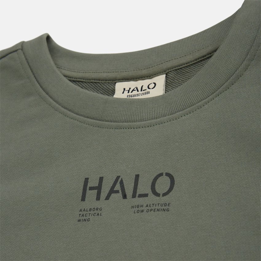 HALO Sweatshirts LNT GRAPHIC CREW 610492 AGAVE GREEN